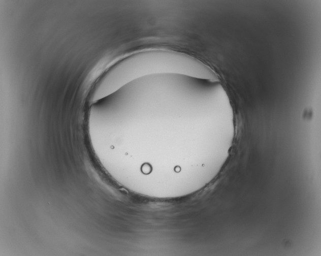 X0000113750150200910211154