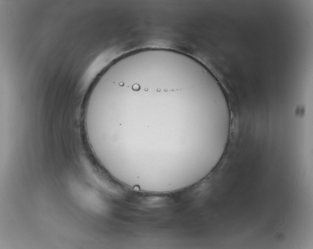 X0000113750151200910211154