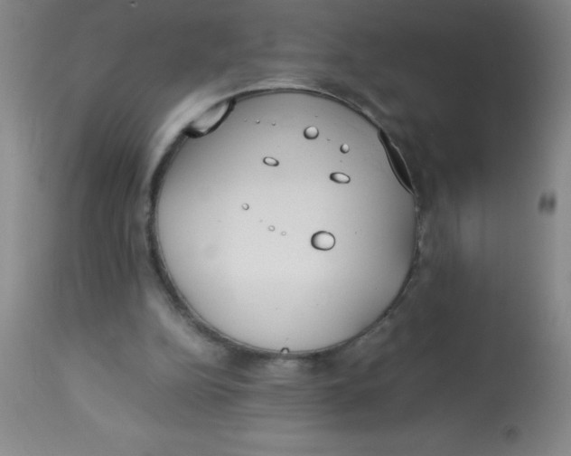 X0000113750152200910211154