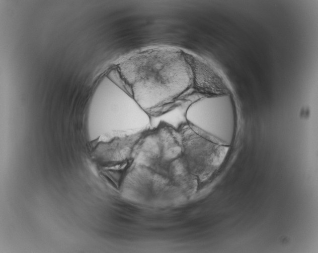 X0000113750153200910211154