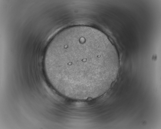 X0000113750154200910211154