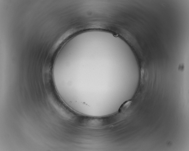 X0000113750156200910211154