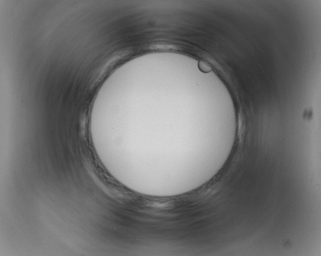 X0000113750157200910211154