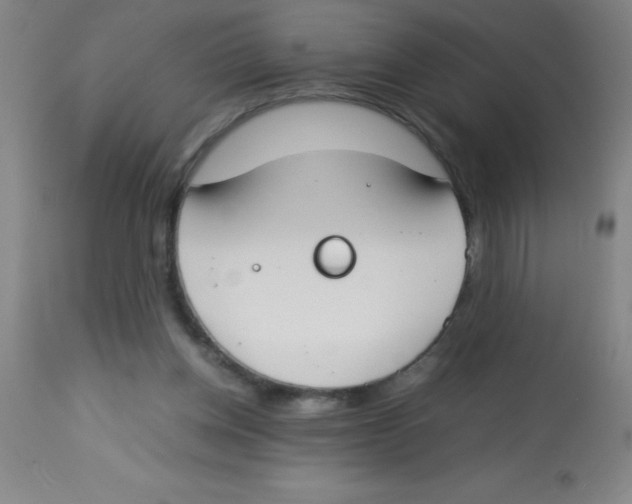 X0000113750158200910211154