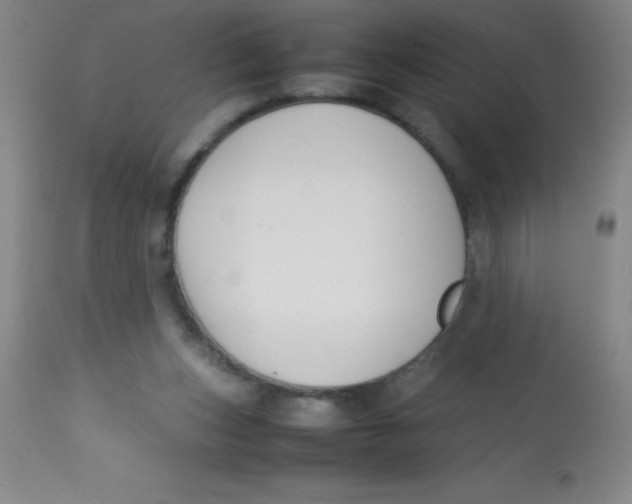 X0000113750159200910211154