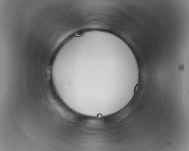 X0000113750160200910211154