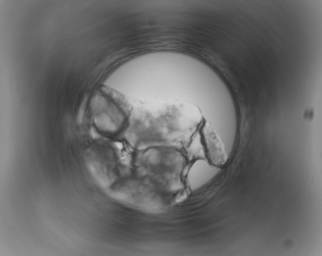 X0000113750161200910211154