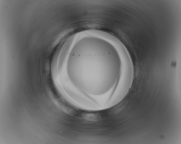 X0000113750163200910211154