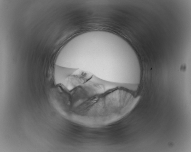 X0000113750165200910211154