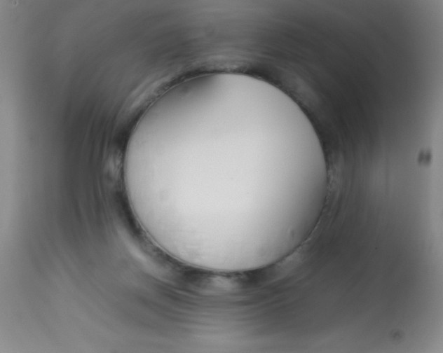 X0000113750166200910211154