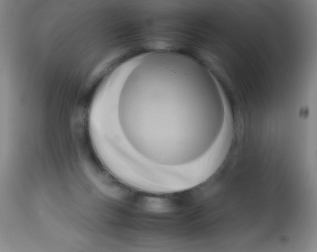 X0000113750167200910211154