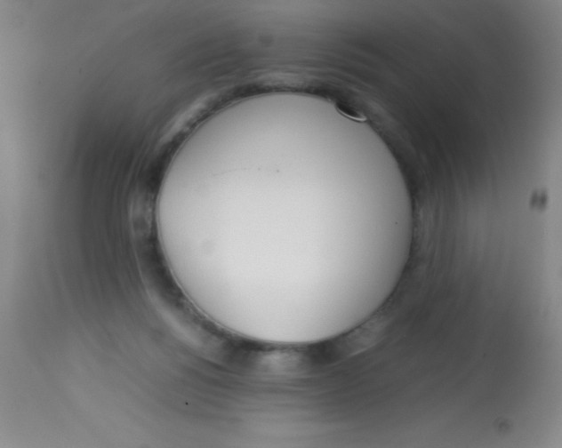 X0000113750168200910211154