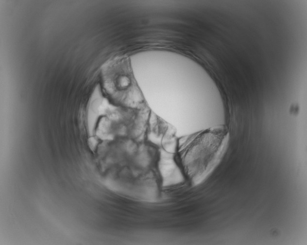 X0000113750169200910211154