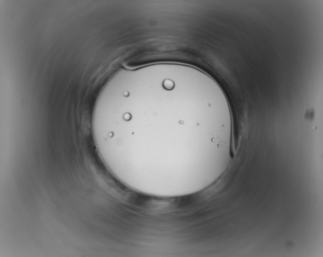 X0000113750170200910211154