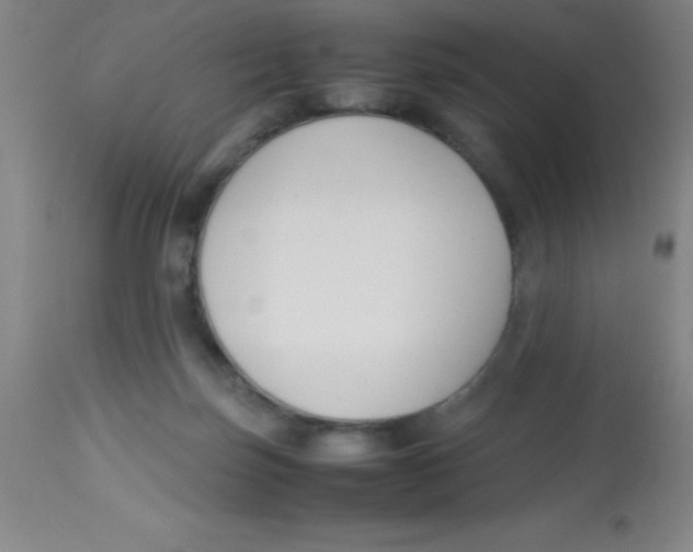 X0000113750171200910211154