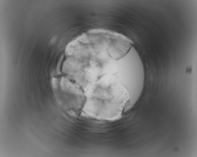 X0000113750173200910211154