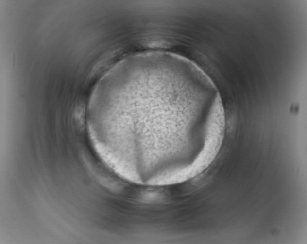 X0000113750175200910211154