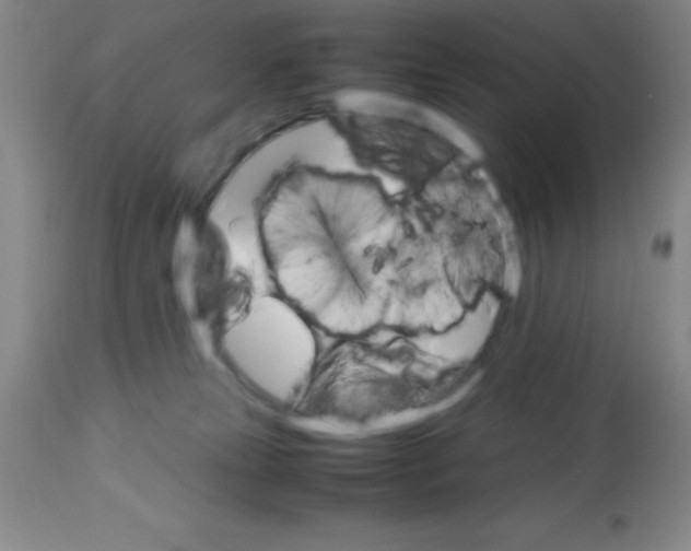 X0000113750181200910211154