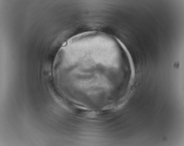 X0000113750182200910211154