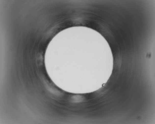 X0000113750183200910211154