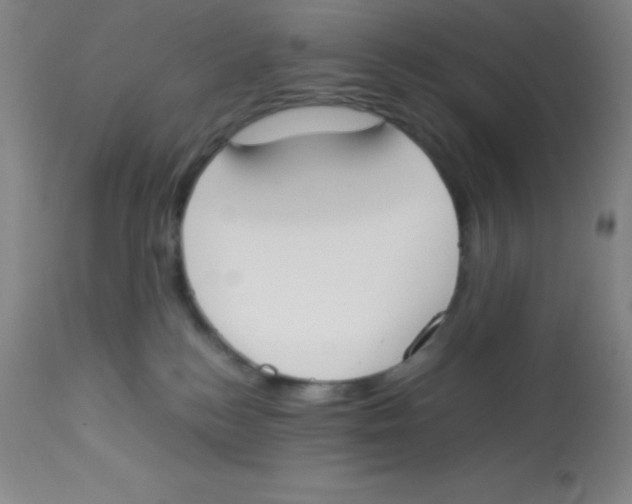 X0000113750184200910211154