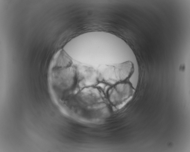 X0000113750185200910211154