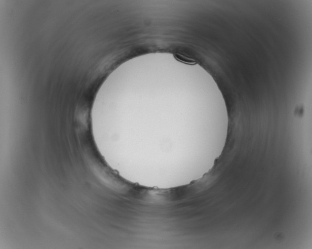 X0000113750188200910211154