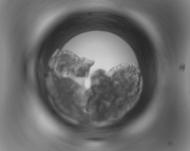 X0000113750189200910211155