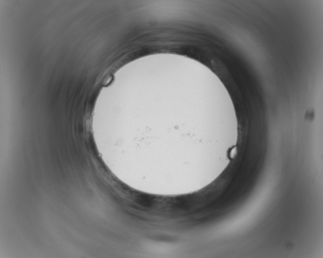 X0000113750190200910211155