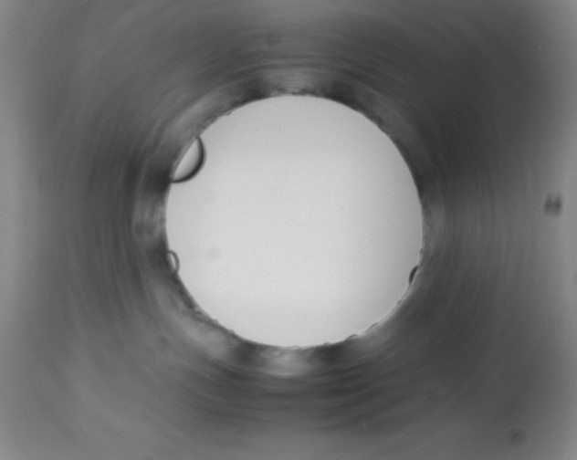 X0000113750191200910211155