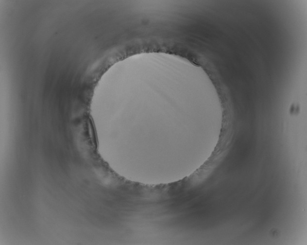 X0000113750192200910211155