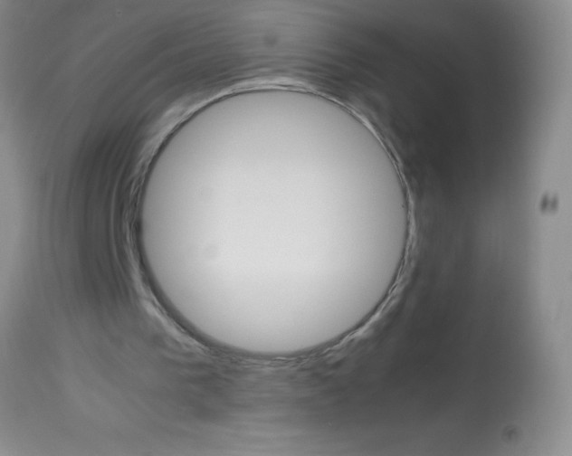 X0000113750193200910211154