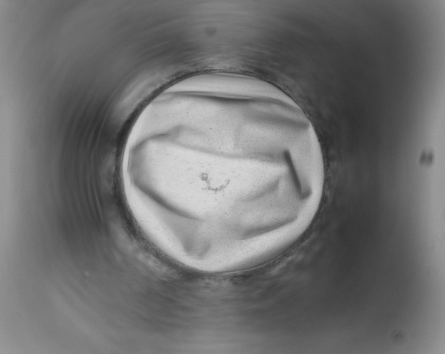 X0000113750194200910211154