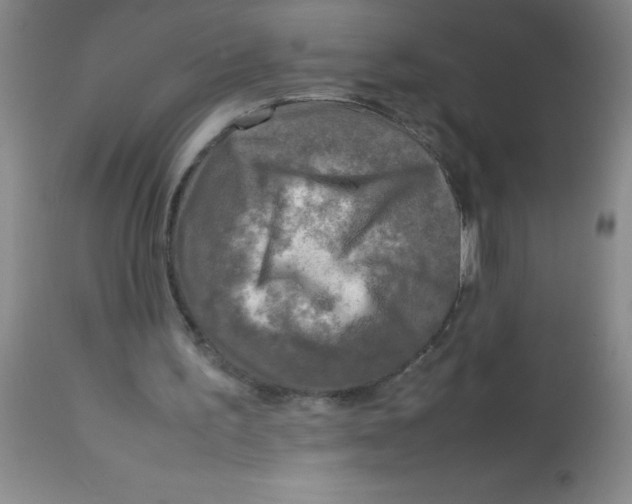 X0000113750195200910211154