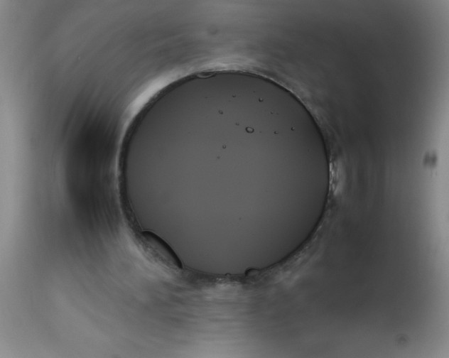 X0000113750196200910211154