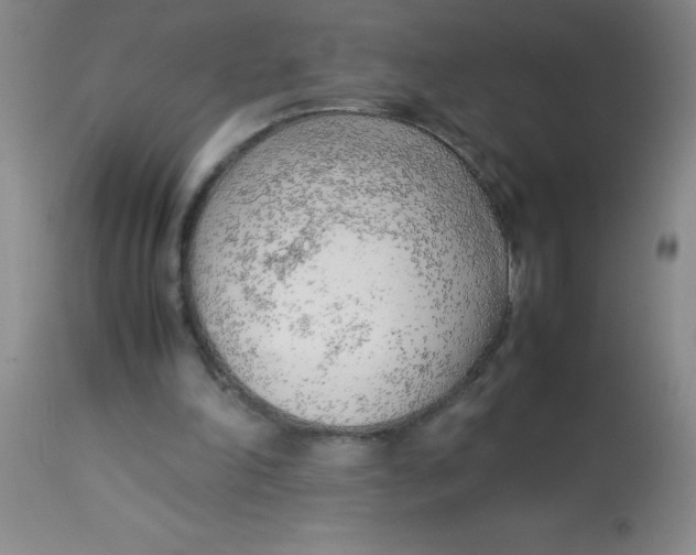 X0000113750198200910211154