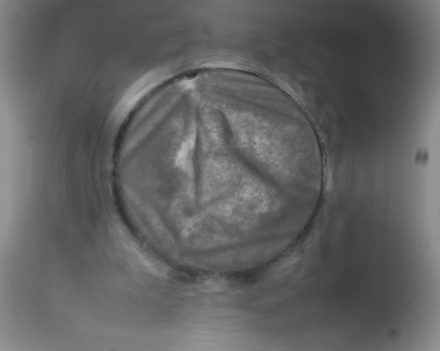 X0000113750199200910211154