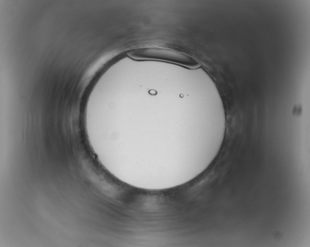 X0000113750200200910211154