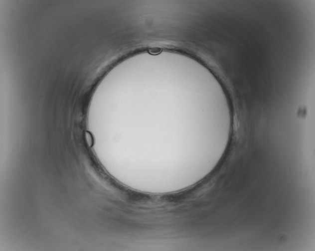 X0000113750201200910211154