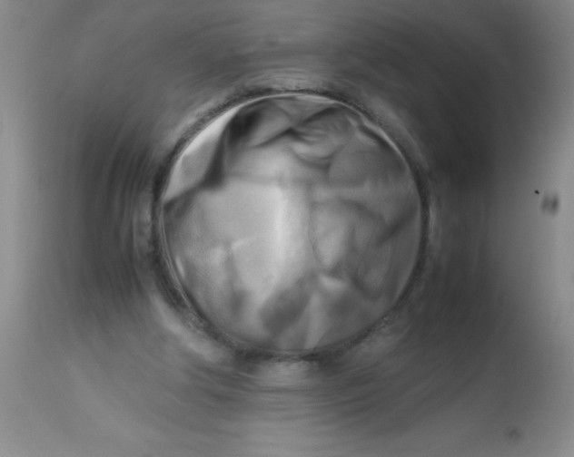 X0000113750202200910211154