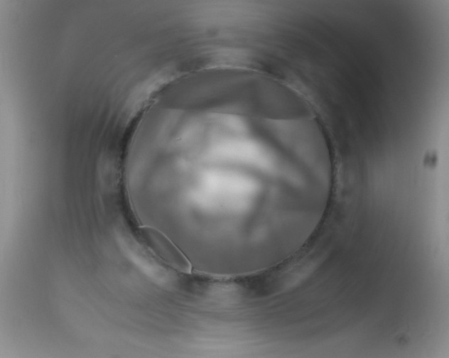 X0000113750203200910211154