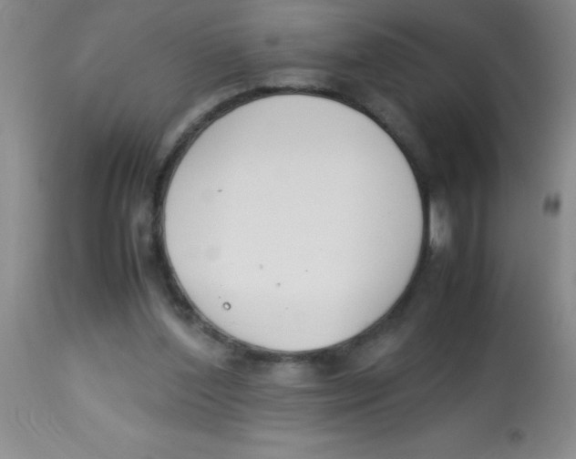 X0000113750204200910211154