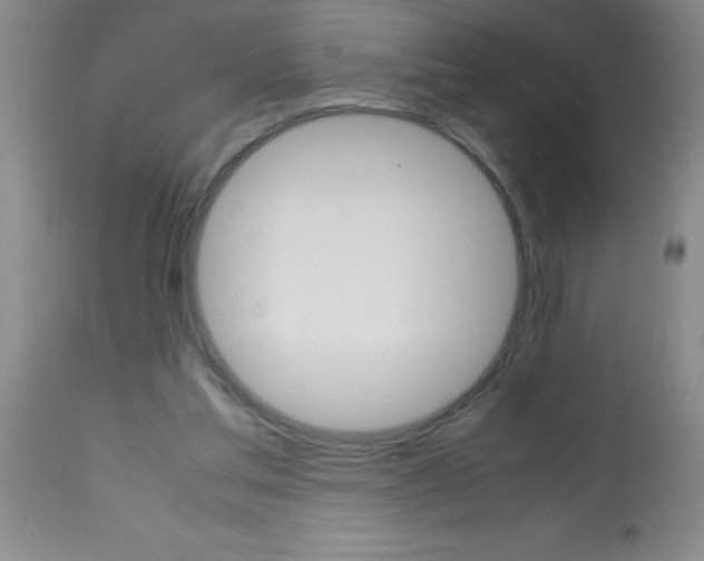 X0000113750205200910211154