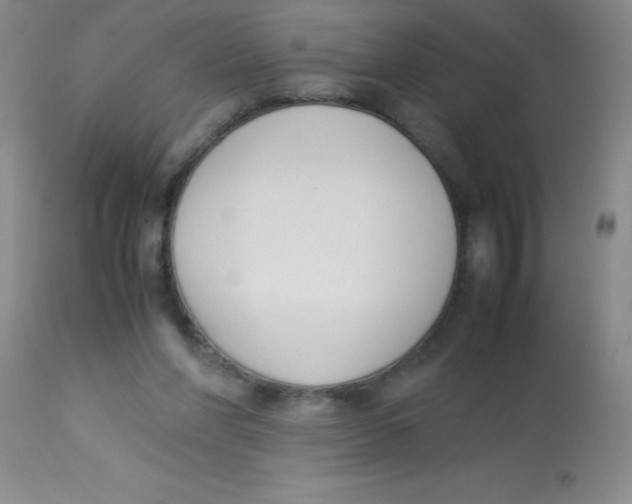 X0000113750206200910211154