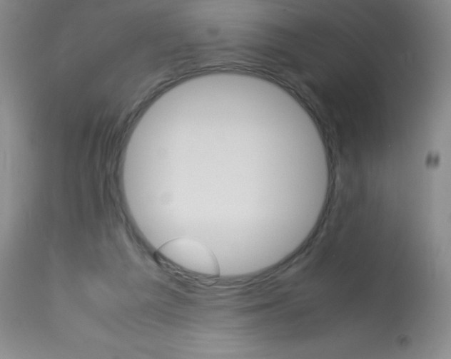 X0000113750209200910211154