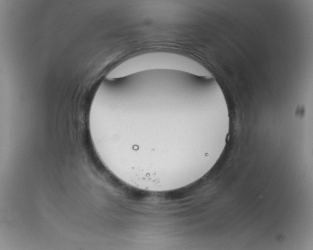 X0000113750211200910211154