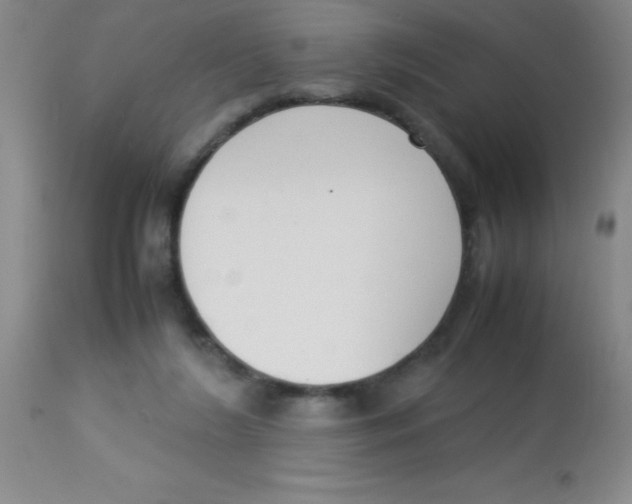 X0000113750212200910211154