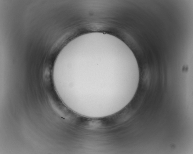 X0000113750214200910211154