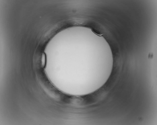 X0000113750215200910211154