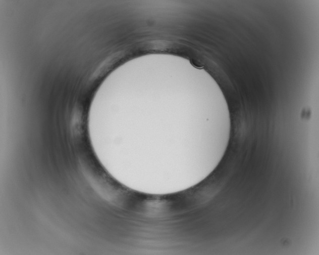 X0000113750216200910211154